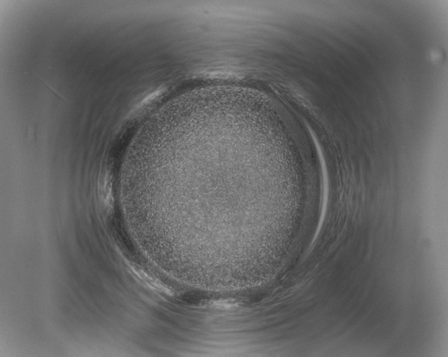 X0000080140692200612081256