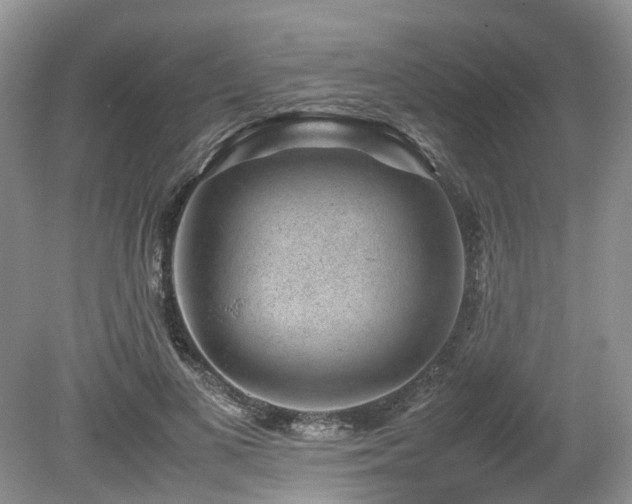 X0000080140693200612081256