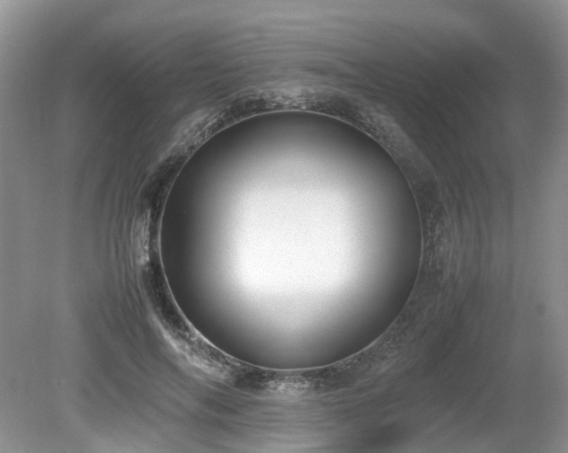 X0000080140694200612081256