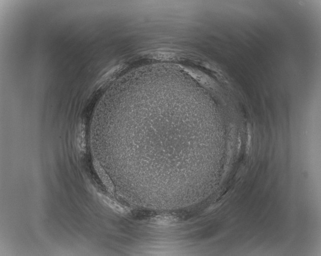 X0000080140696200612081256