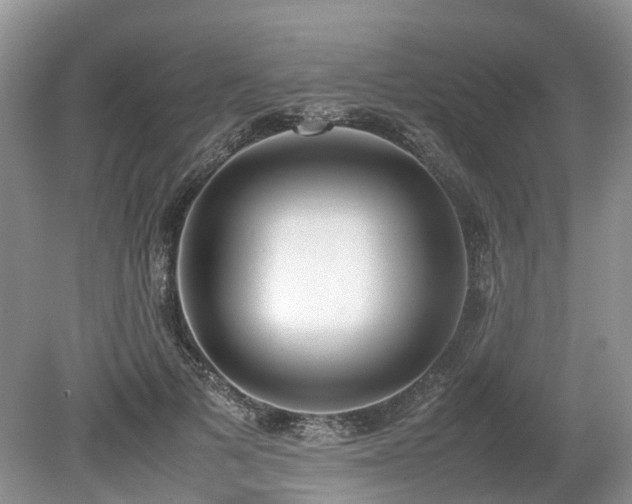 X0000080140697200612081256