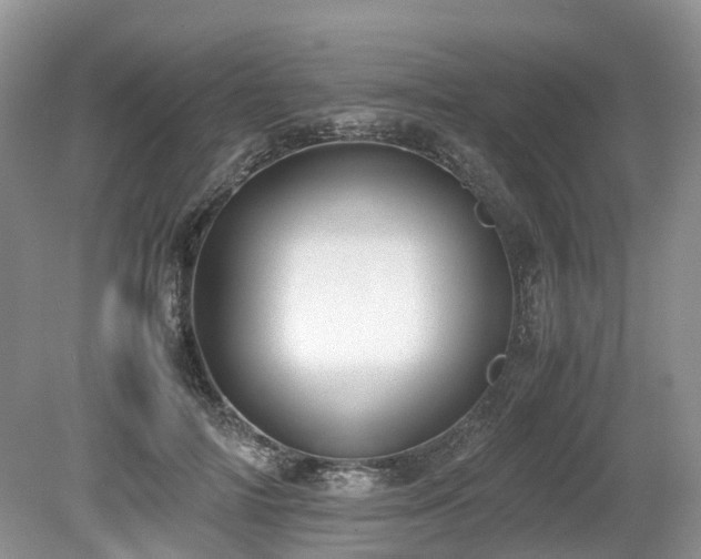 X0000080140698200612081256