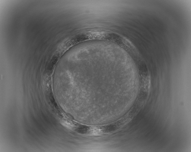 X0000080140701200612081256