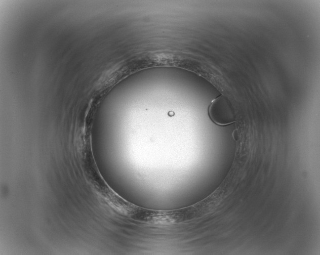 X0000080140702200612081256