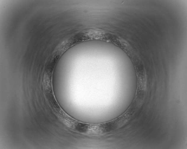 X0000080140705200612081256