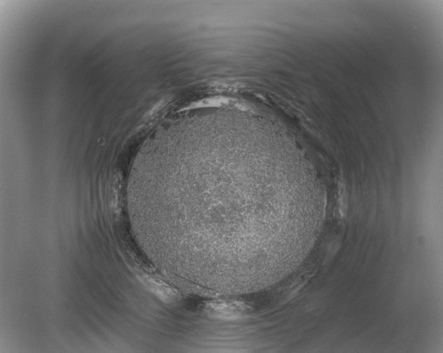 X0000080140712200612081256