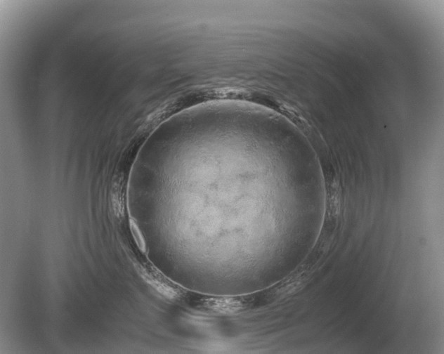 X0000080140719200612081256