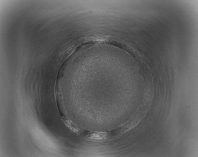 X0000080140720200612081256