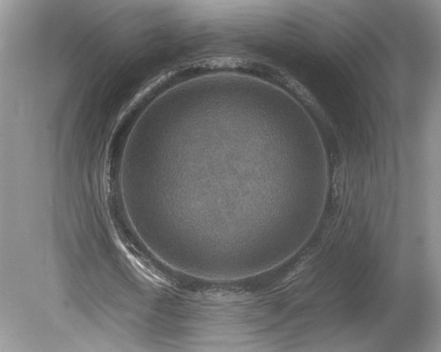 X0000080140722200612081255