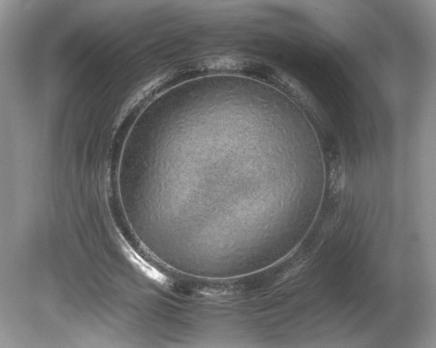 X0000080140725200612081255