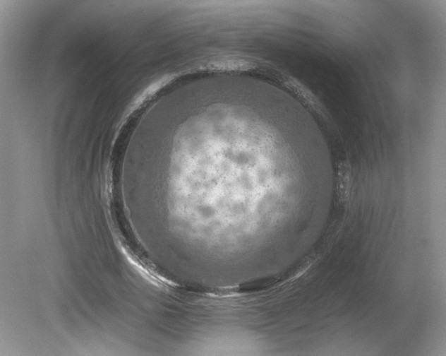 X0000080140726200612081255