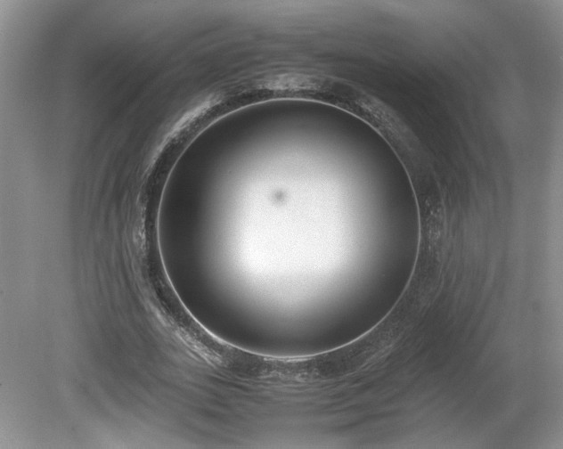 X0000080140727200612081255