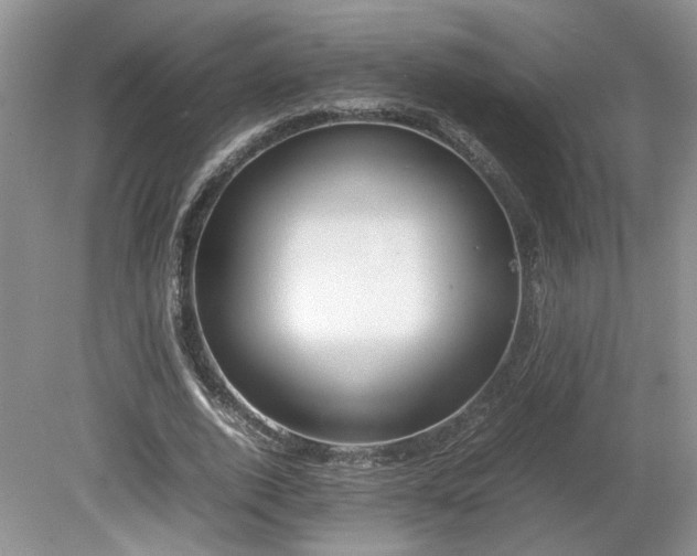 X0000080140728200612081255