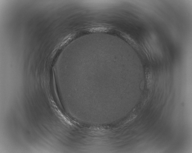 X0000080140729200612081255