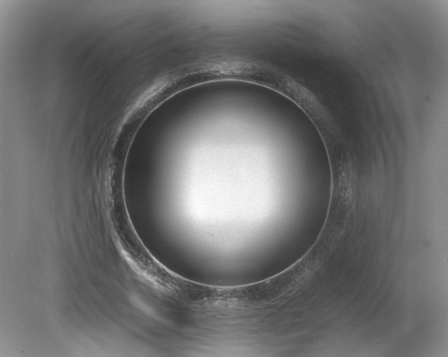 X0000080140730200612081255