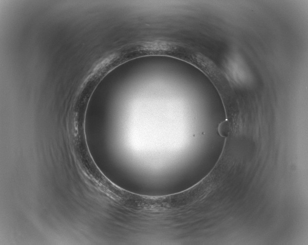 X0000080140731200612081255