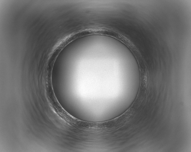 X0000080140732200612081255