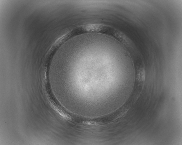 X0000080140733200612081255