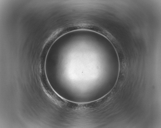 X0000080140734200612081255