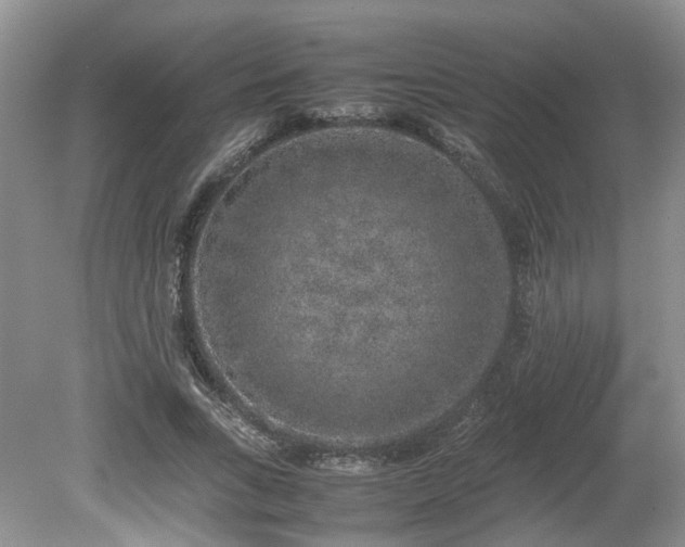 X0000080140735200612081255