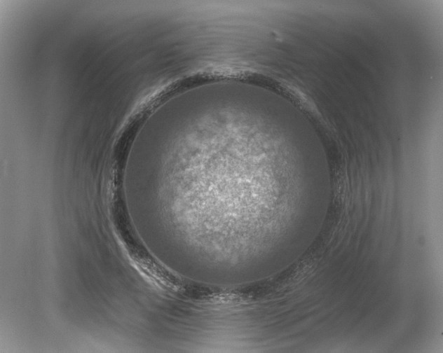 X0000080140736200612081255