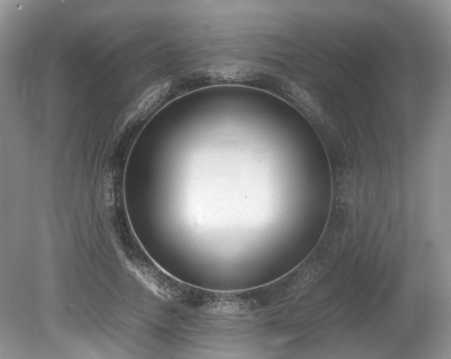 X0000080140738200612081255