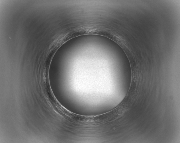 X0000080140740200612081255