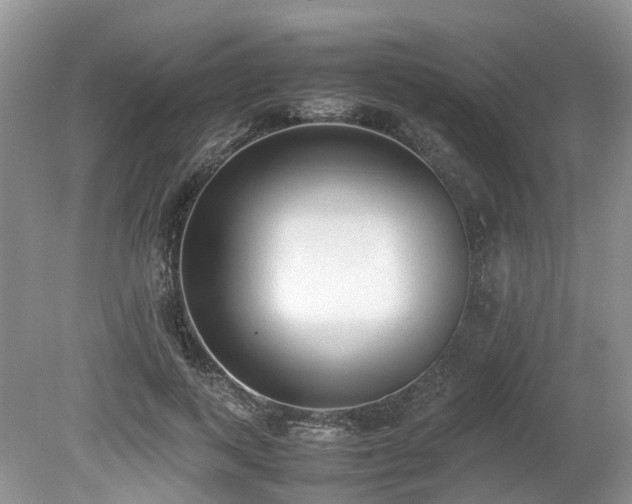 X0000080140743200612081255