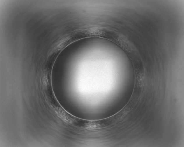 X0000080140746200612081255