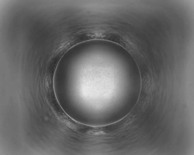 X0000080140747200612081255