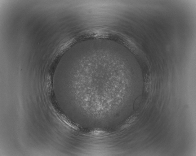 X0000080140748200612081255