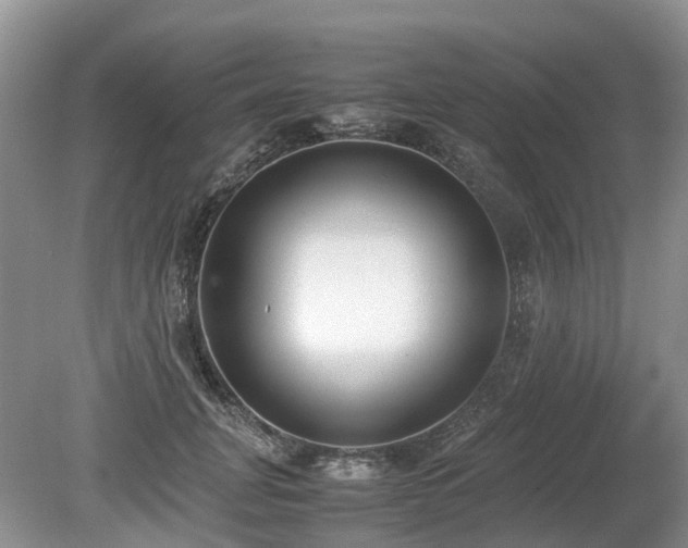 X0000080140751200612081255