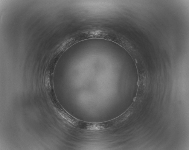 X0000080140754200612081255