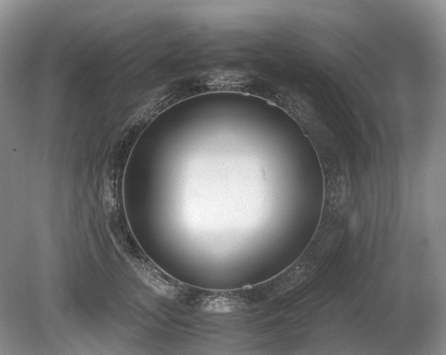 X0000080140755200612081255