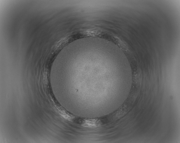 X0000080140757200612081255