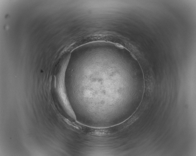 X0000080140758200612081255