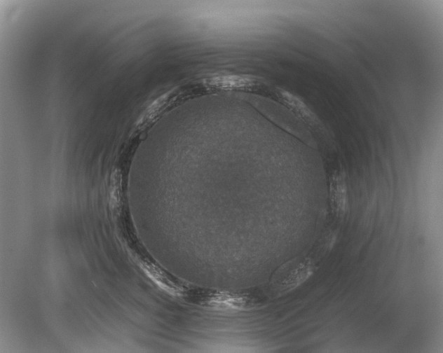 X0000080140760200612081256
