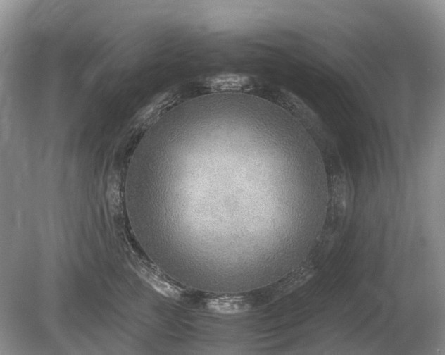 X0000080140761200612081256
