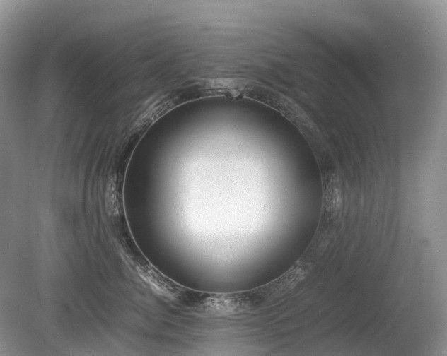 X0000080140764200612081256