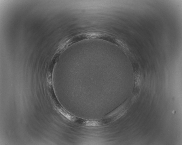 X0000080140766200612081256