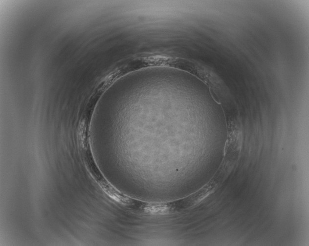 X0000080140767200612081256