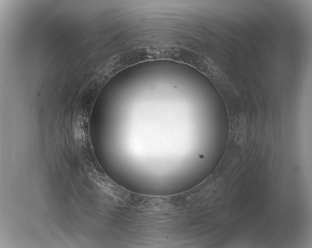 X0000080140770200612081255