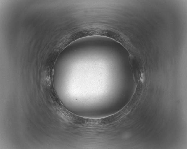 X0000080140771200612081255