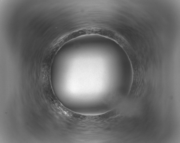 X0000080140773200612081255