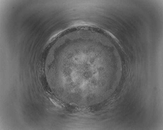 X0000080140775200612081255