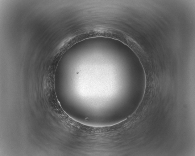 X0000080140776200612081255