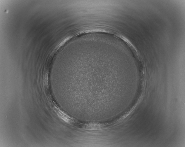 X0000080140777200612081255