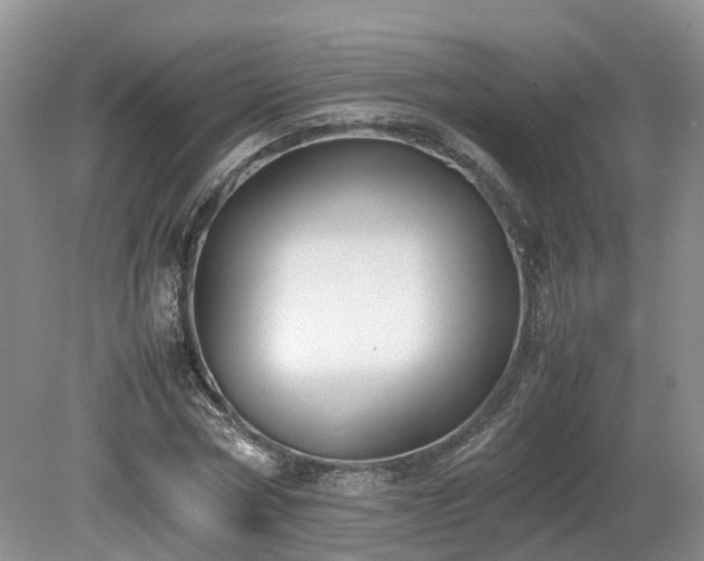 X0000080140778200612081255