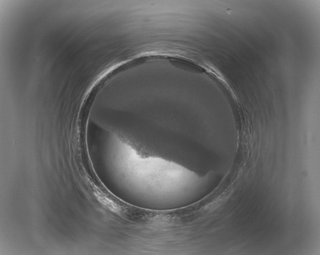 X0000080140779200612081255