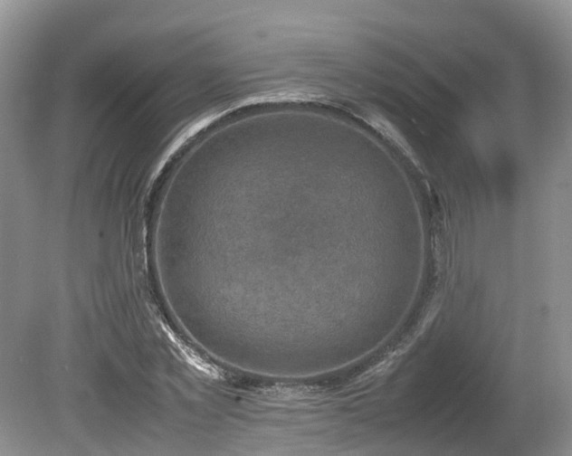 X0000080140781200612081255